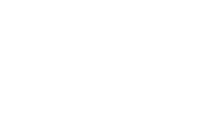 MLN Data Consulting